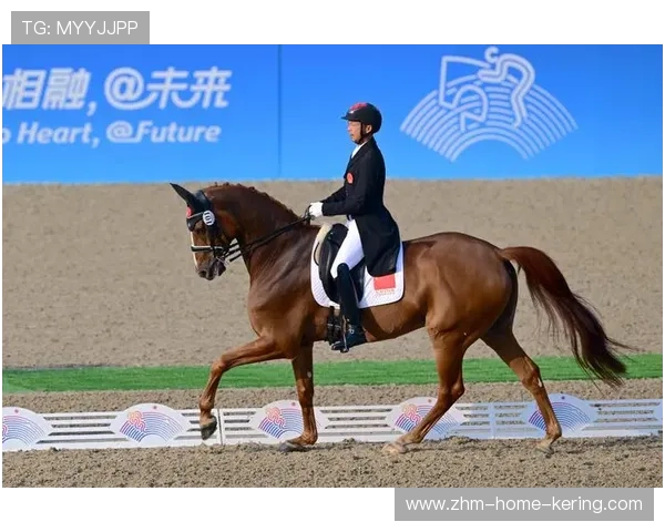 葡萄牙马术协会举办马术运动员国际交流活动，促进文化互鉴。，葡萄牙马竞球员
